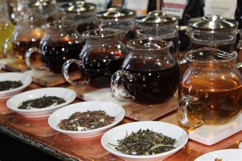 Tapping into the Magic Tea Market: A Guide for Companies